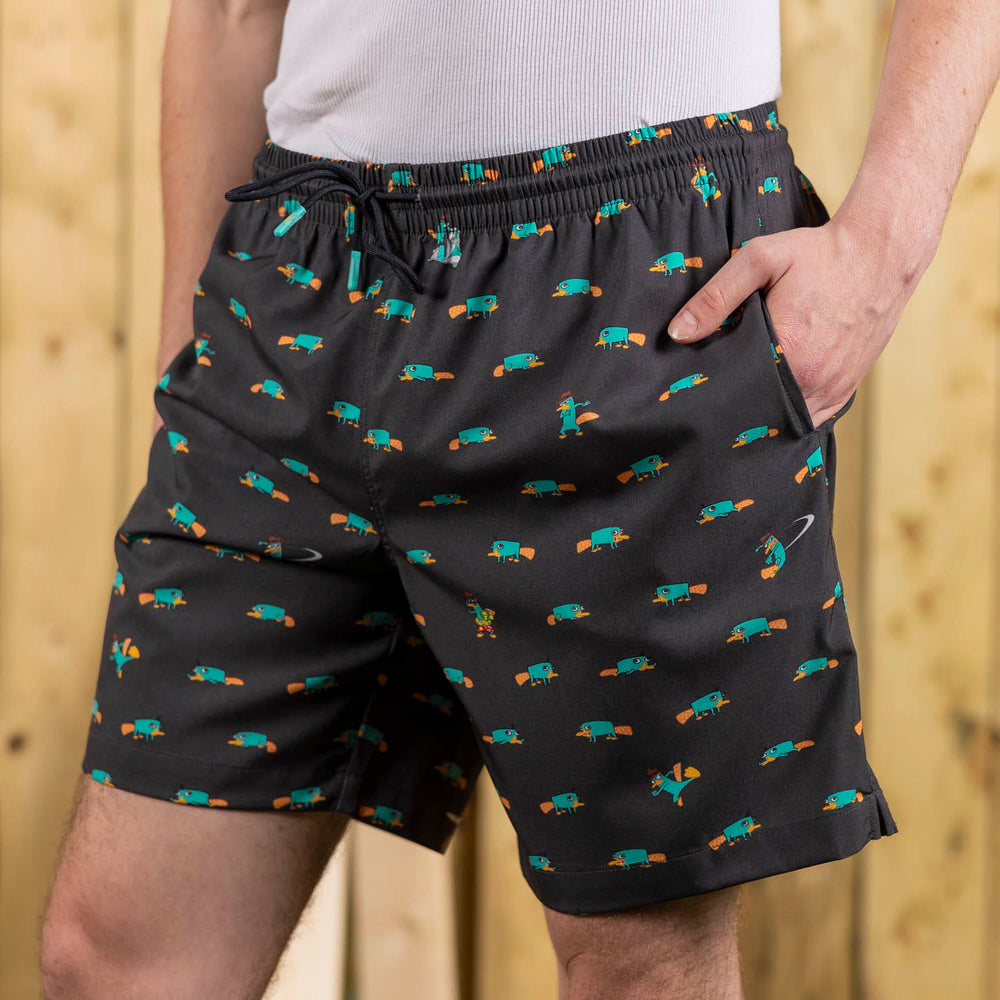Disney’s Phineas and Ferb "Semi-Aquatic Egg-Laying Mammal of Action" – Hybrid Shorts - Image 2