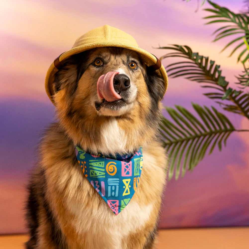 Disney "Mickey's Surfside Summer" – Dog Bandana