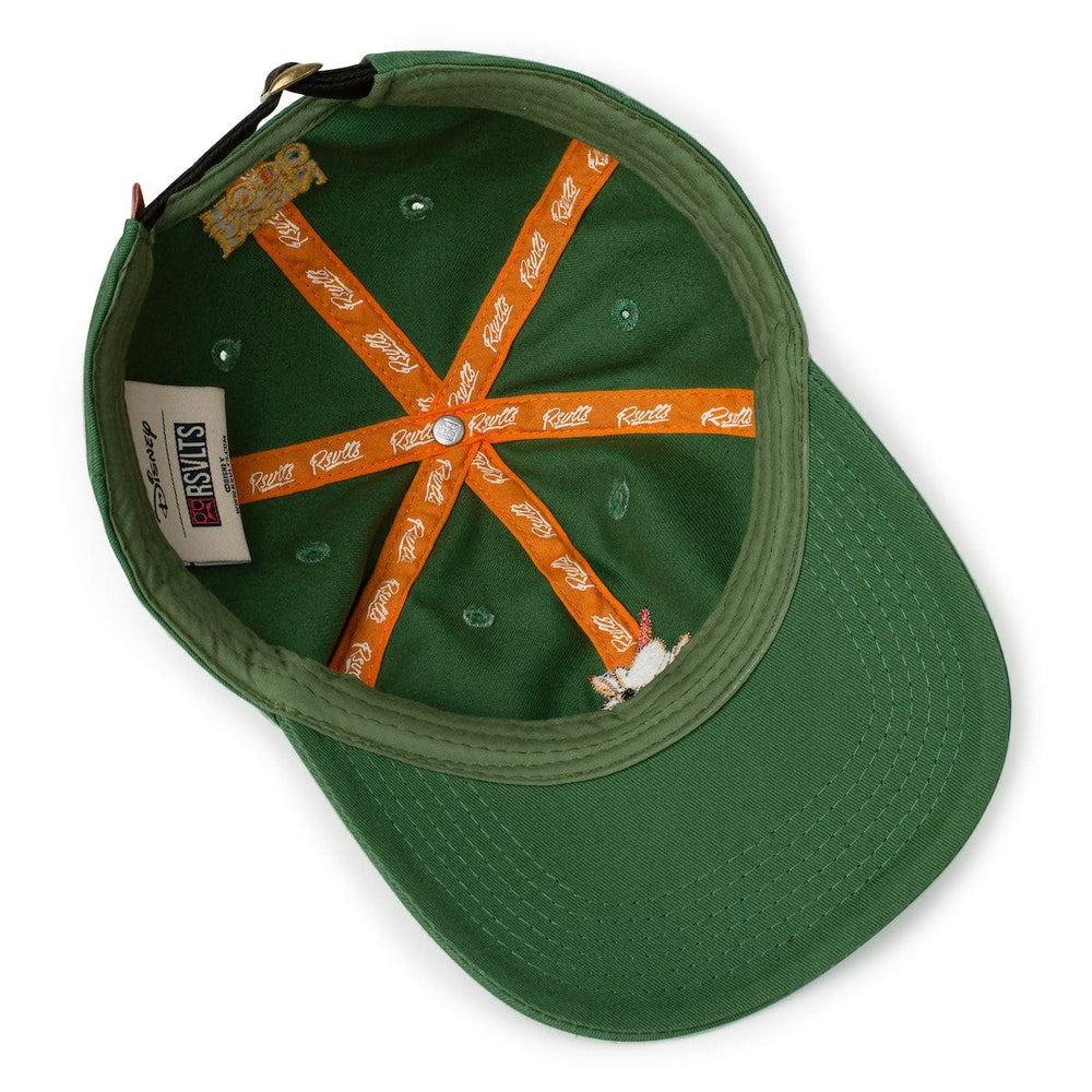 Disney's Robin Hood "The Outlaw of Nottingham" – Dad Hat - Image 6