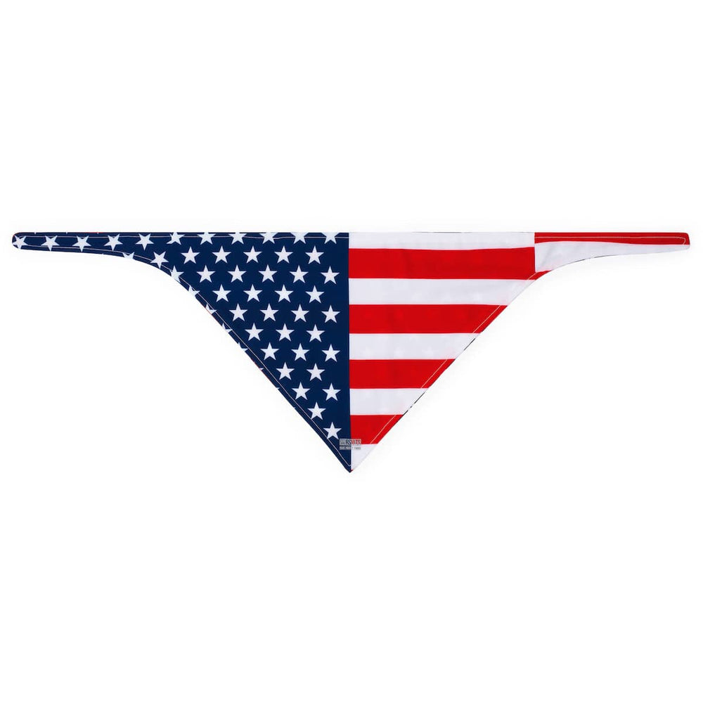 Star-Spangled 'Dana – Dog Bandana - Image 2