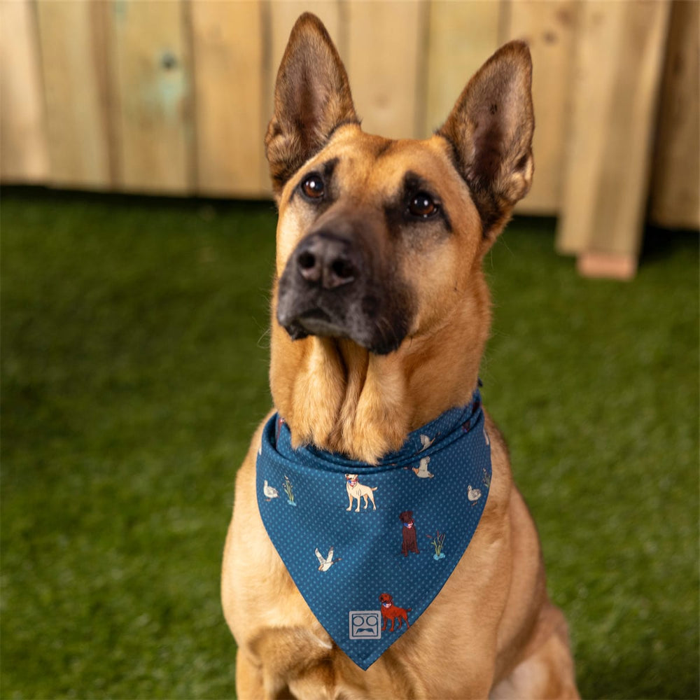 Duck, Duck, Dog! – Dog Bandana