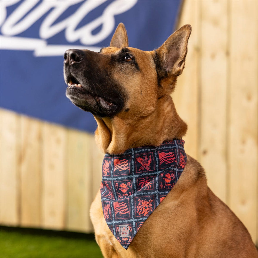 Grillaxin’ – Dog Bandana