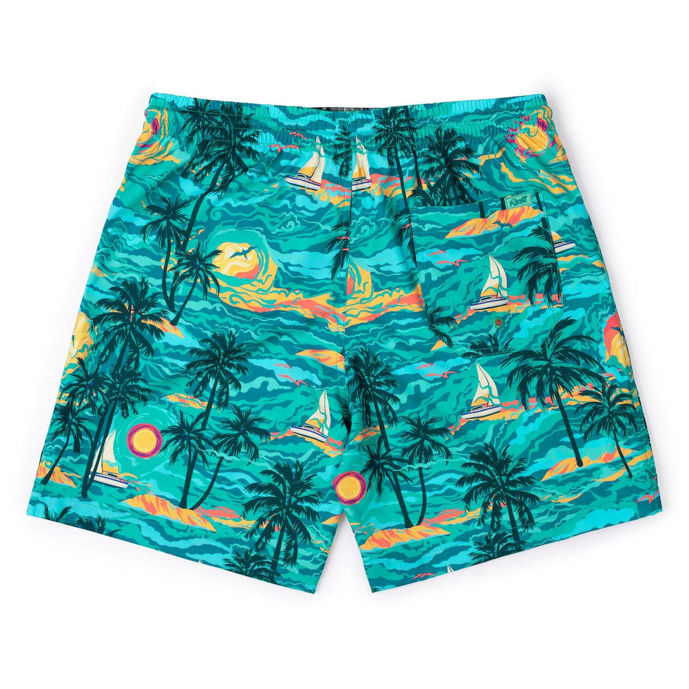 PTO (Palm Tree Oasis) – Hybrid Shorts - Image 4