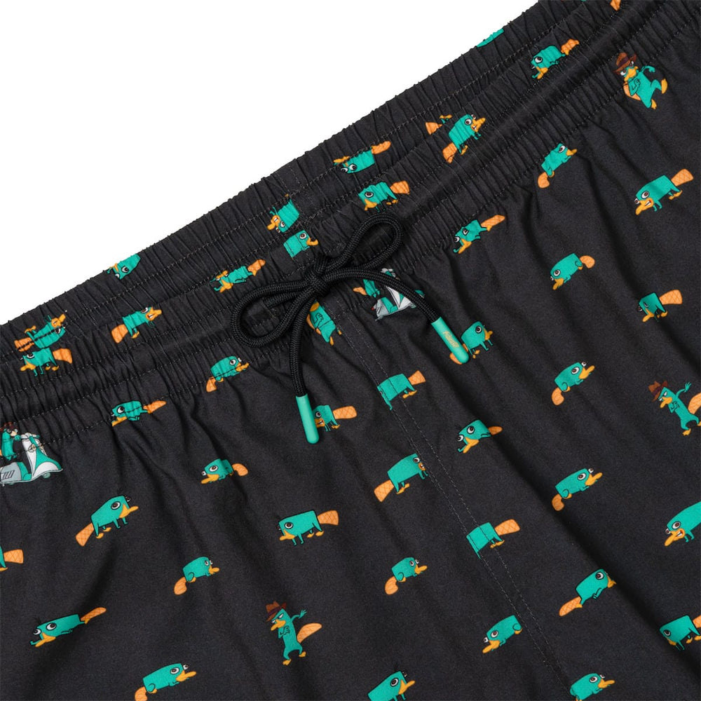 Disney’s Phineas and Ferb "Semi-Aquatic Egg-Laying Mammal of Action" – Hybrid Shorts - Image 4