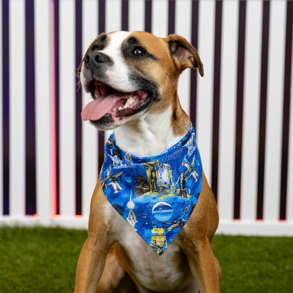 Star Wars™ "Luke Sleepwalker" – Dog Bandana - Image 4