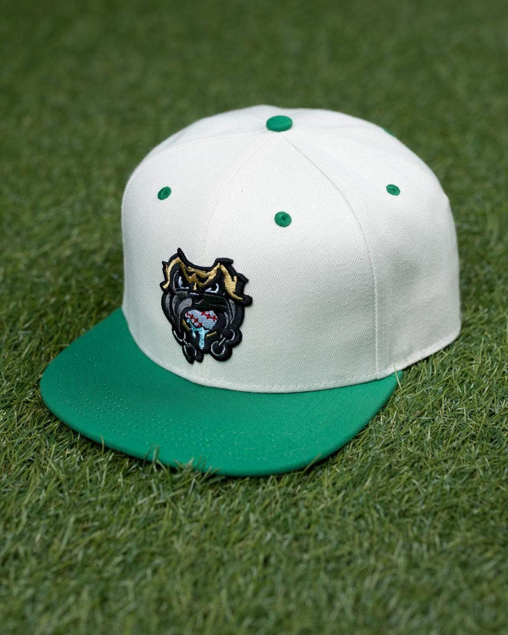 The Sandlot "The Beast" – Snapback Cap - Image 5