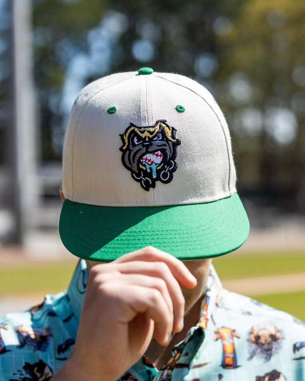 The Sandlot "The Beast" – Snapback Cap - Image 2